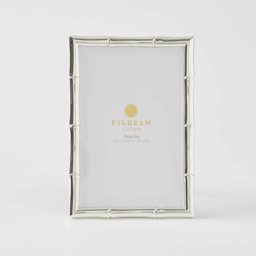 Bramble silver photo frame