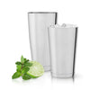 Stainless steel shaker tin set